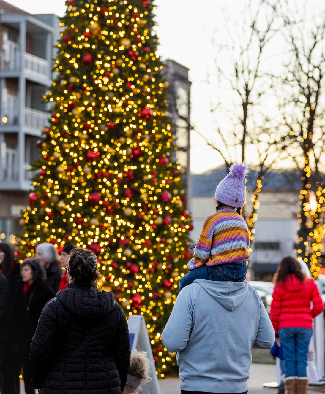 christmas tree with lights
